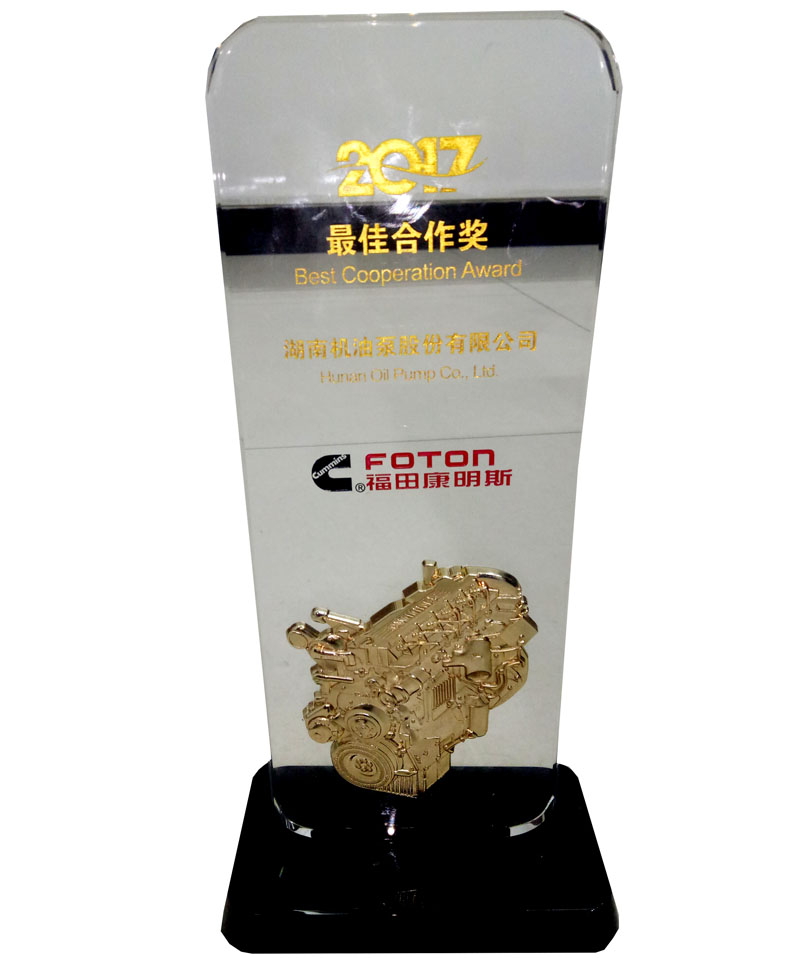 2017客戶(hù)頒發(fā)獎(jiǎng)牌